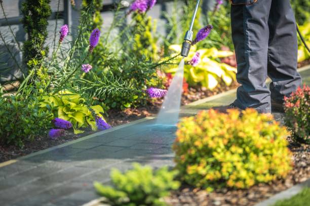 Trusted Ranlo, NC Pressure Washing Experts