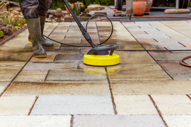 Best Pre-Holiday Cleaning  in Ranlo, NC