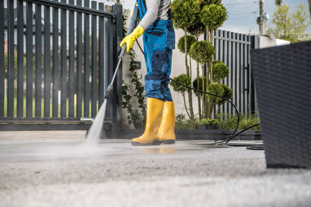 Best Solar Panel Cleaning  in Ranlo, NC